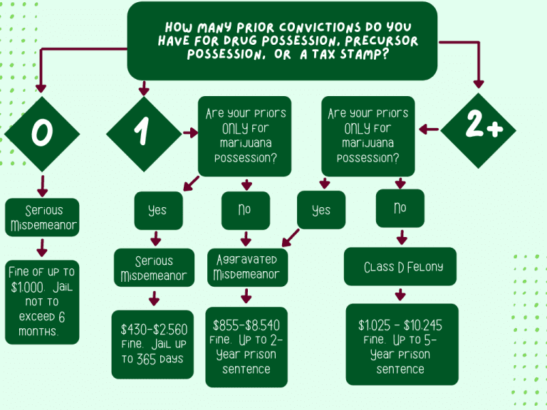 Flowchart for Drug Possession